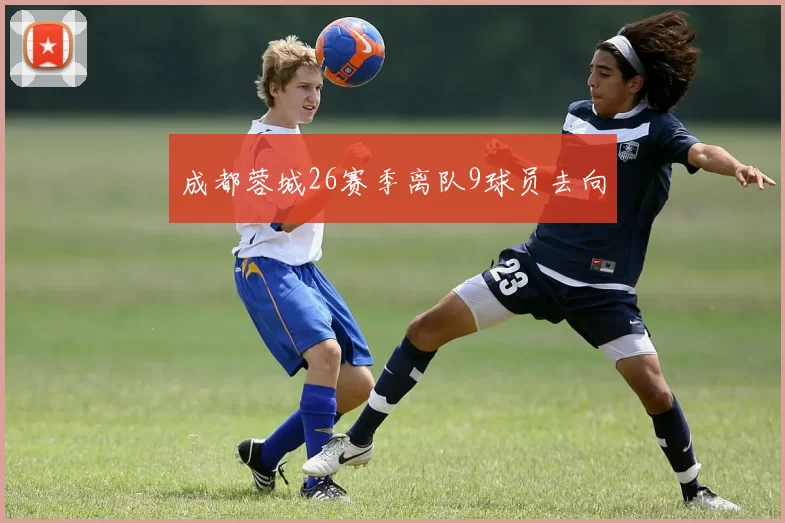 成都蓉城26赛季离队9球员去向