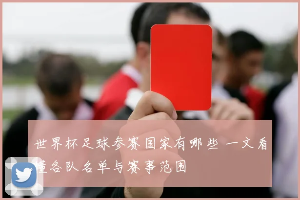 世界杯足球参赛国家有哪些 一文看懂各队名单与赛事范围