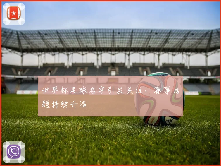 世界杯足球名字引发关注,赛事话题持续升温